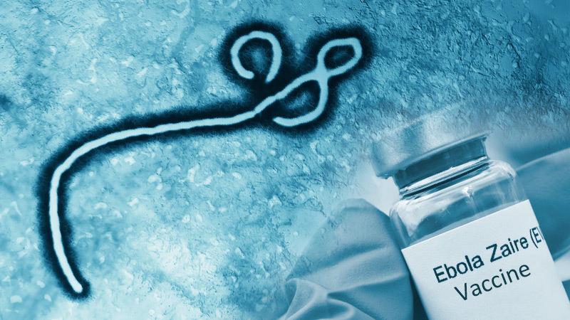 Feltételes forgalomba hozatali engedélyt kapott a világ első Ebola-vírus elleni vakcinája